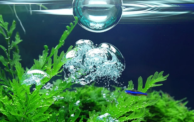 湖南微肽生物医药有限公司-医用海藻糖修护敷料OEM/ODM